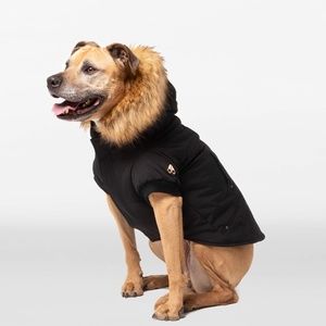 Mooseknuckles Pooch Parka from Mooseknuckles Gold Collection - Black Size XL/XXL